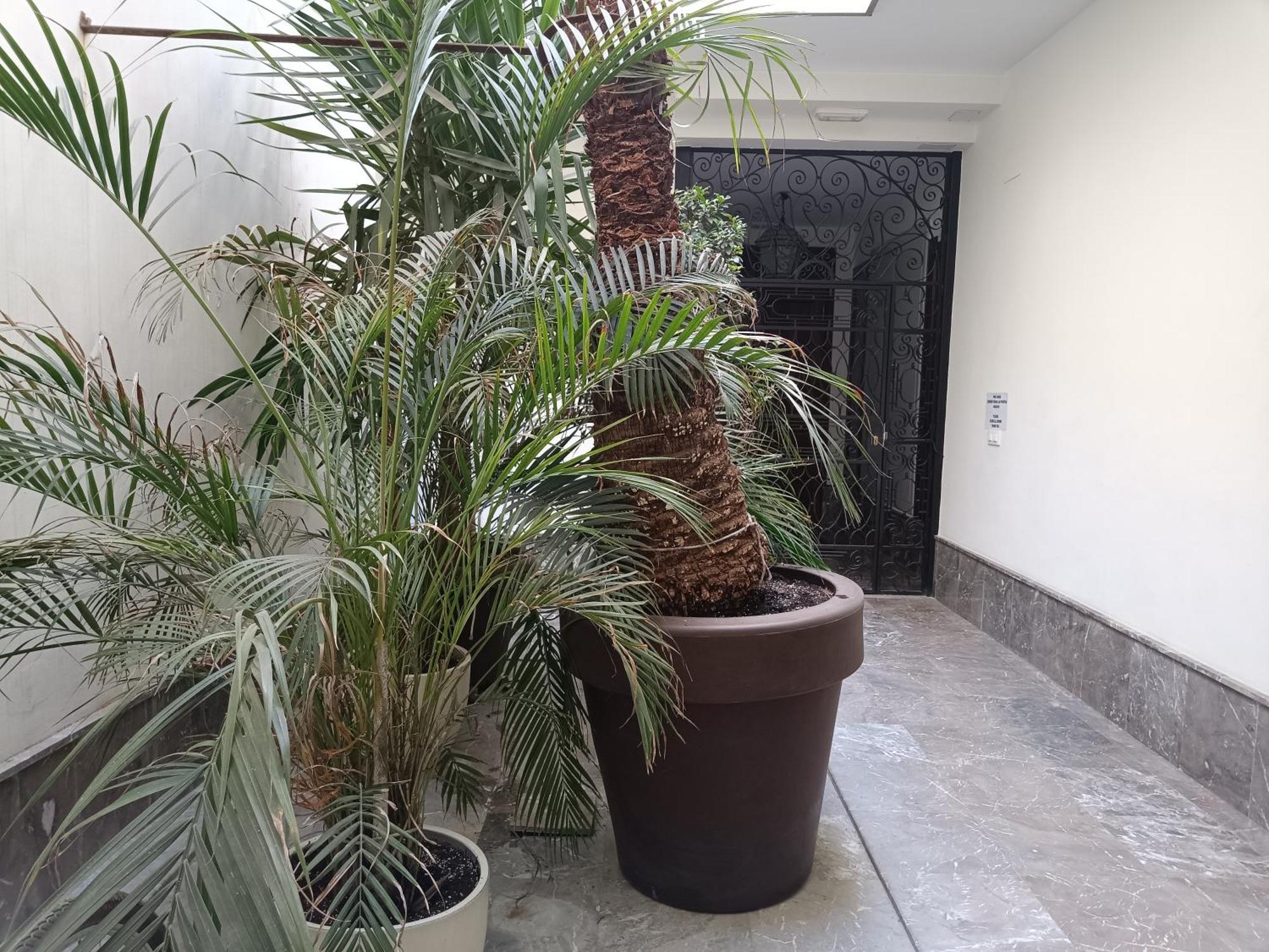 Apartamentos Luxury Puente De Triana Sevilla Exterior foto