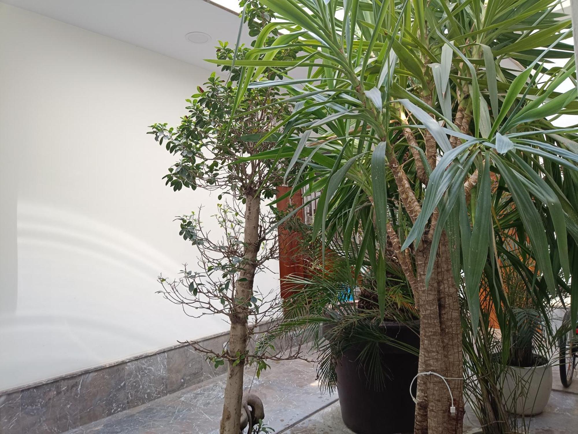 Apartamentos Luxury Puente De Triana Sevilla Exterior foto